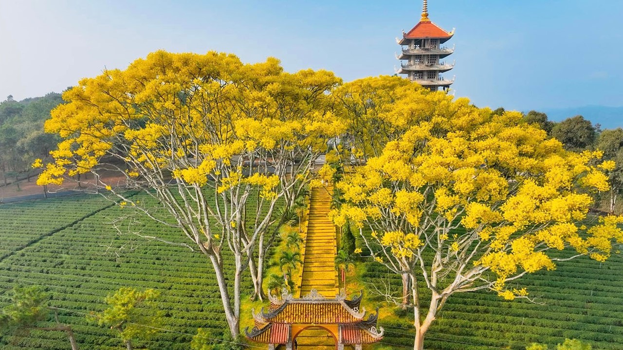 TOP 5 TRẢI NGHIỆM KHÔNG THỂ BỎ QUA KHI DU LỊCH BẢO LỘC