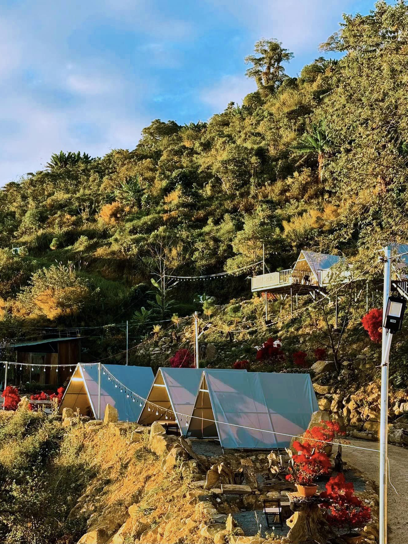 461278753_542289791668286_2104673374014433943_n