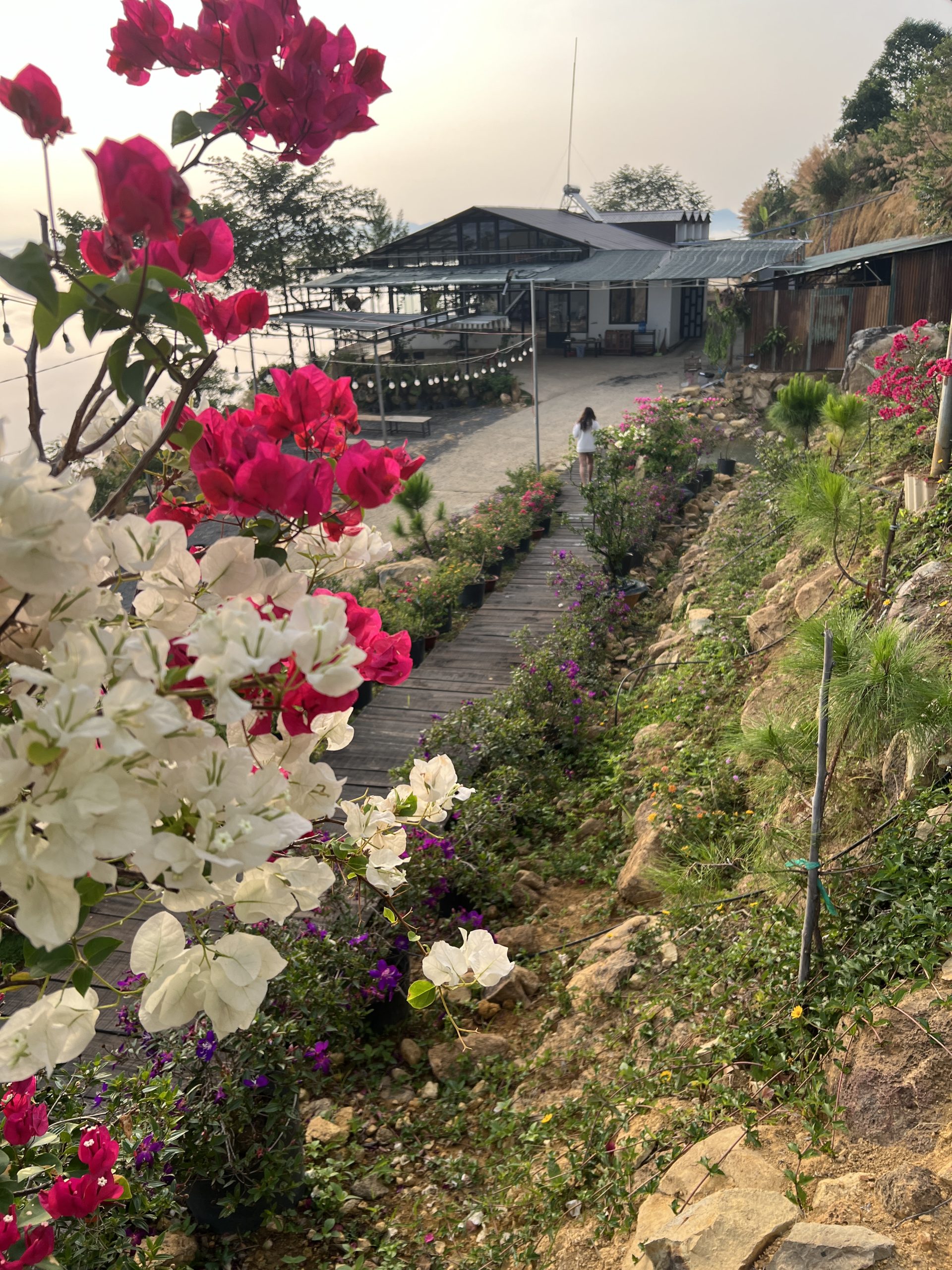 homestay anh tuan_homepage