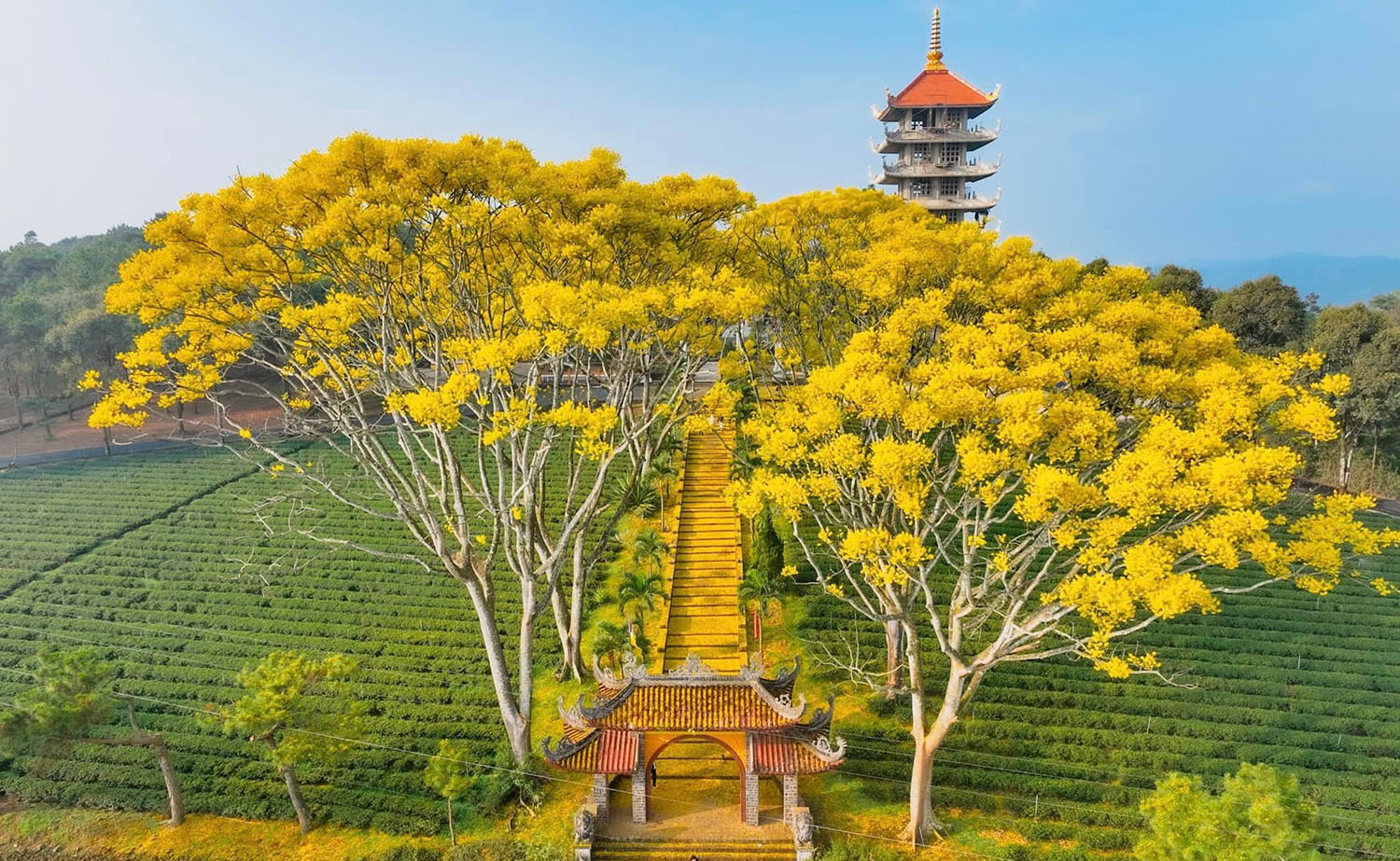 Ở BẢO LỘC 2 NGÀY 1 ĐÊM